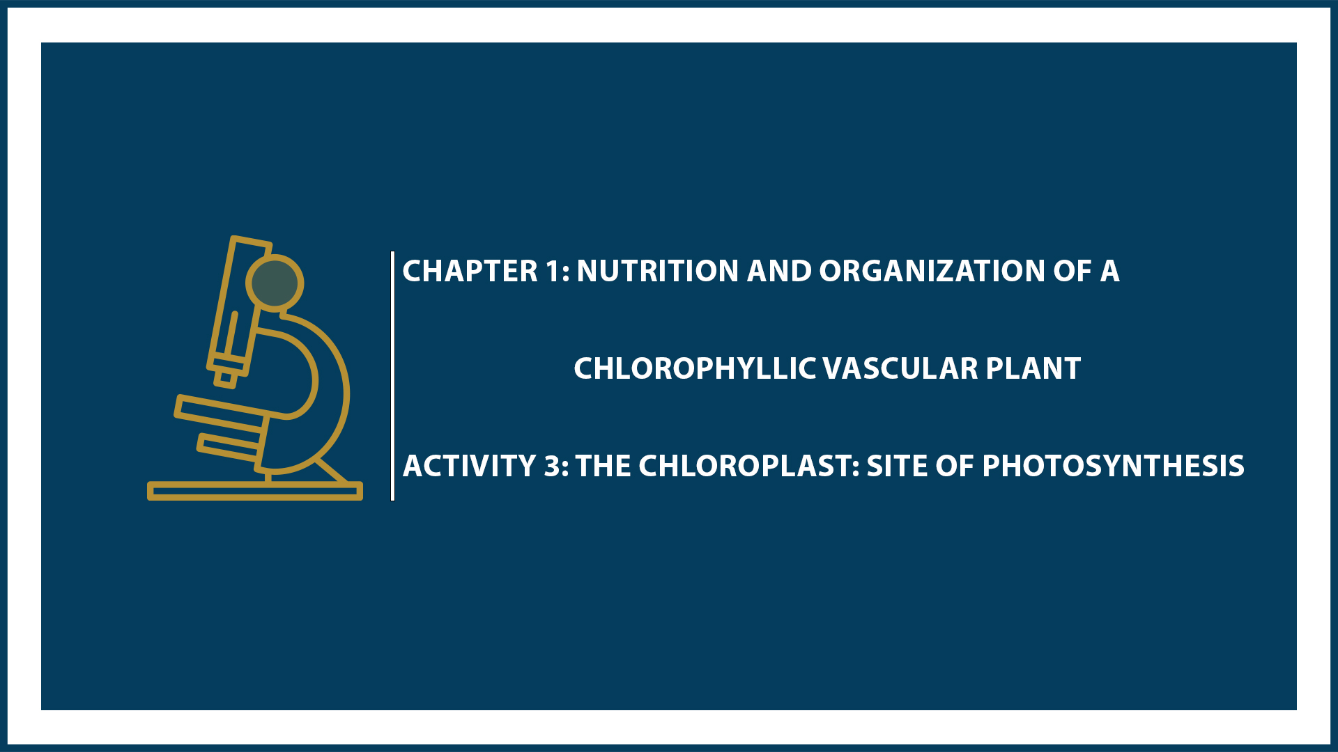 Chapter 1: Activity 3: The Chloroplast: Site of Photosynthesis